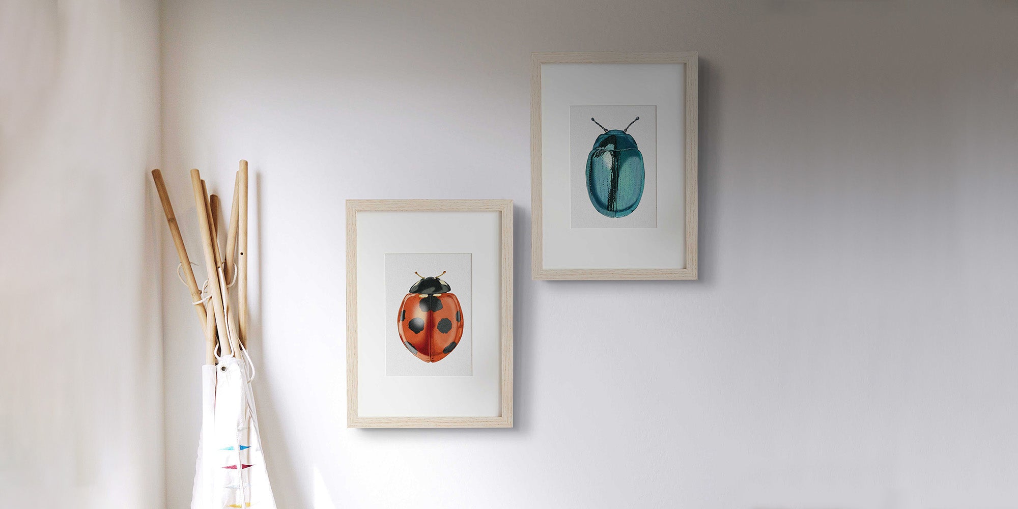 Collection Image
