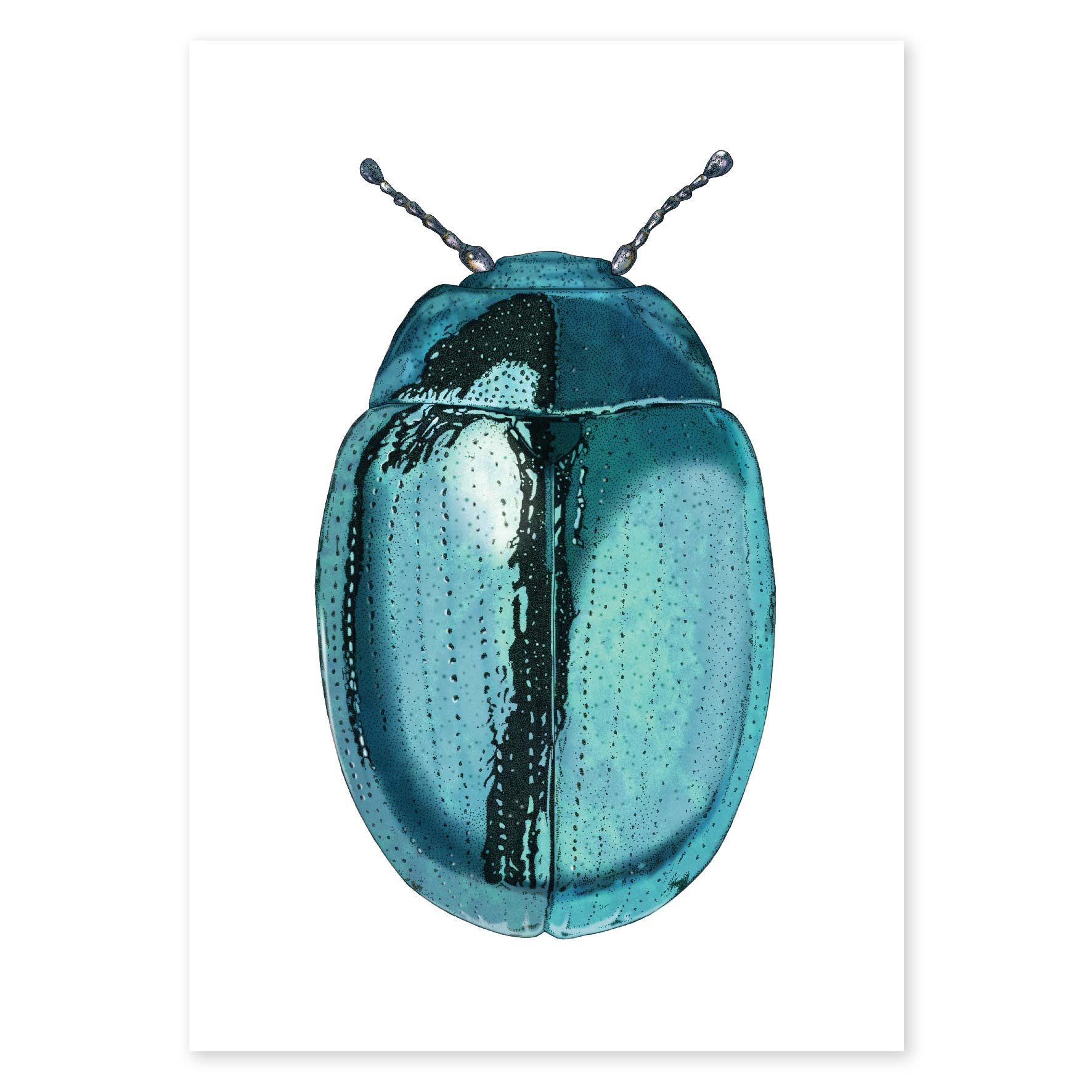 Blue Beetle - Fine Art Print - Rolling Panda