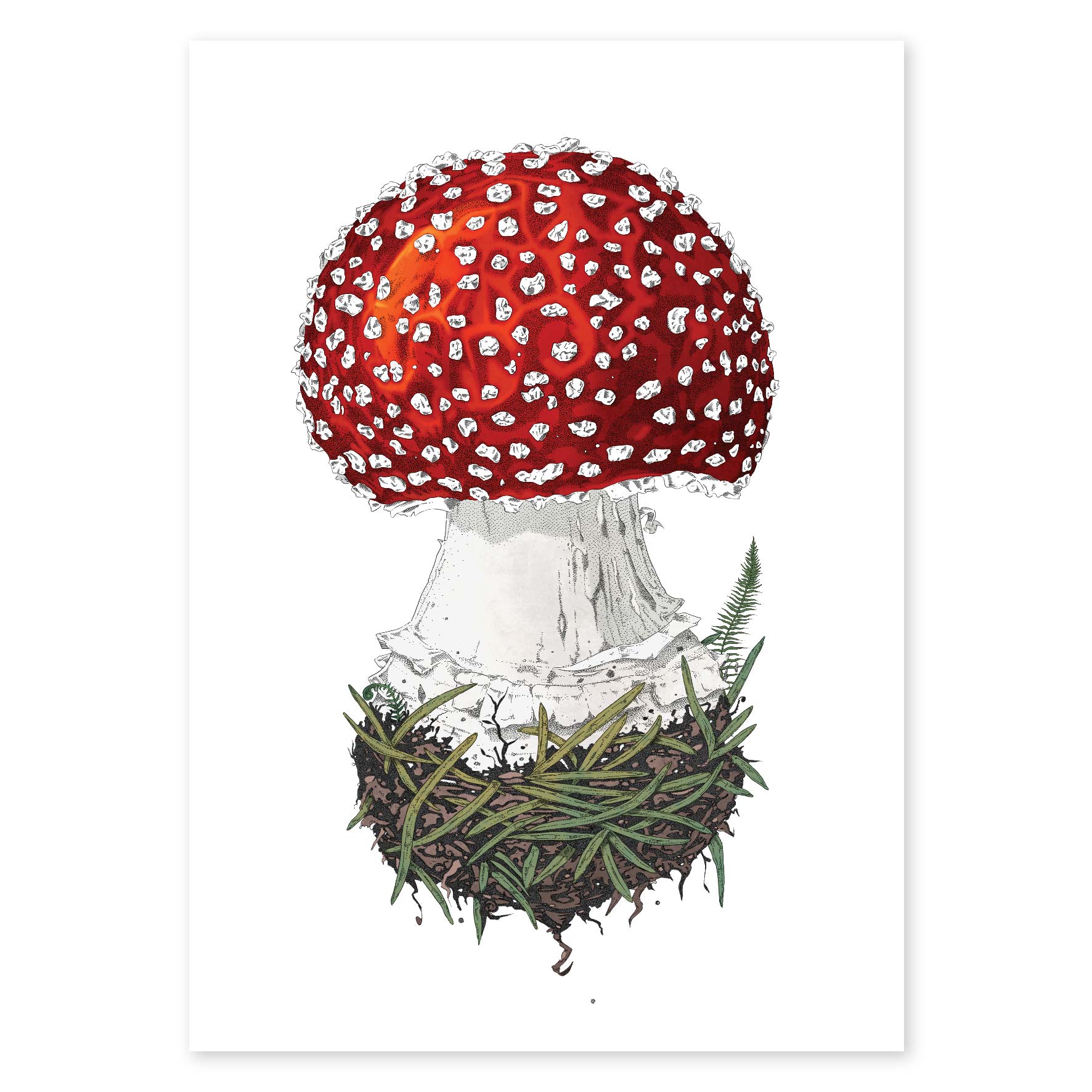 The Mushroom - Fine Art Print - Rolling Panda
